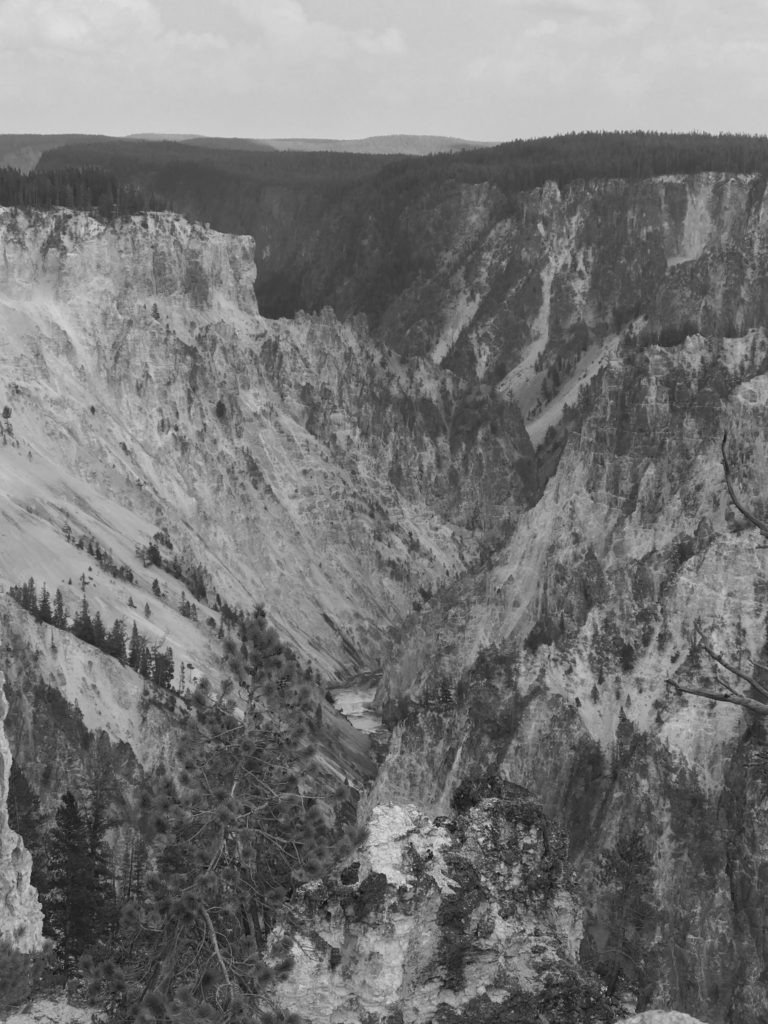 Ghosts In Yellowstone! S Fox